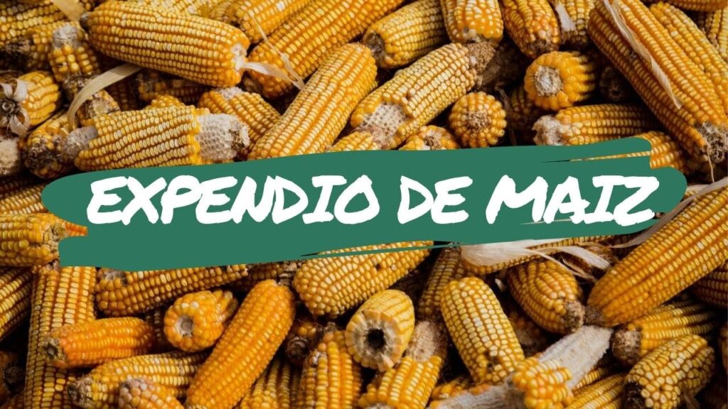 Expendio de Maíz: Celebrating Corn in Mexican Cuisine 2025
