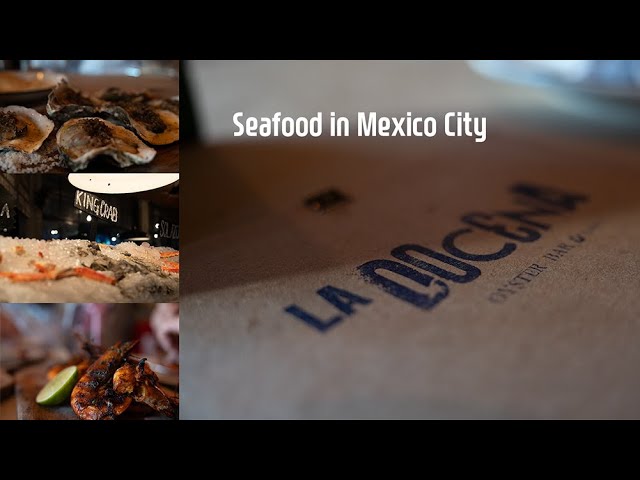 La Docena: Seafood and Oyster Bar in Mexico City 2025